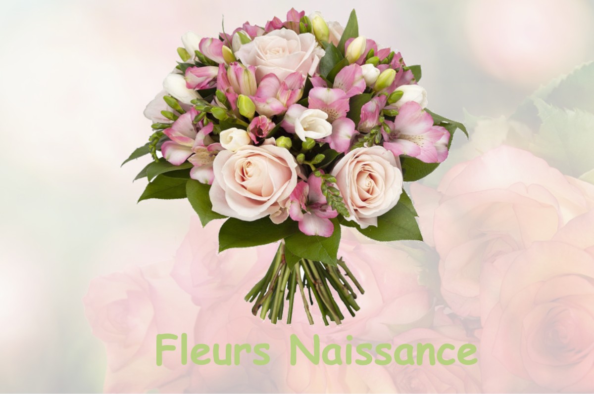 fleurs naissance SALIGNAC-DE-MIRAMBEAU